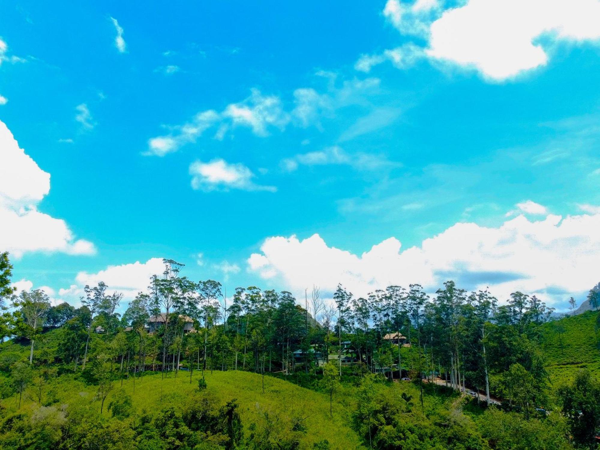 Nine Arch Homestay エッラ エクステリア 写真